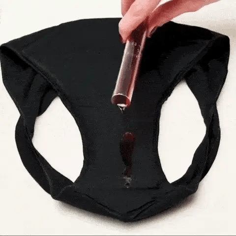 Les culottes menstruelles
